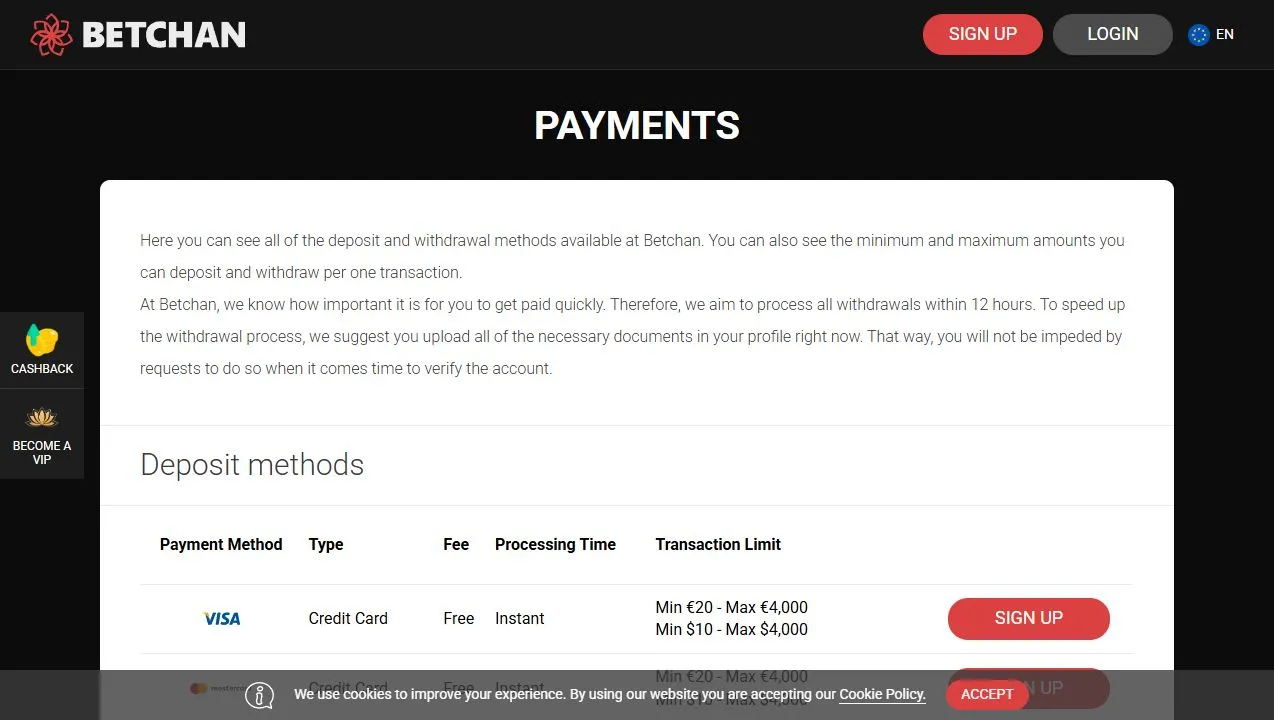 BetChan payment methods